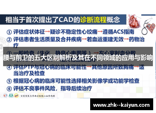 腰与前卫的五大区别解析及其在不同领域的应用与影响 腰与前卫的五大区别解析及其在不同领域的应用与影响